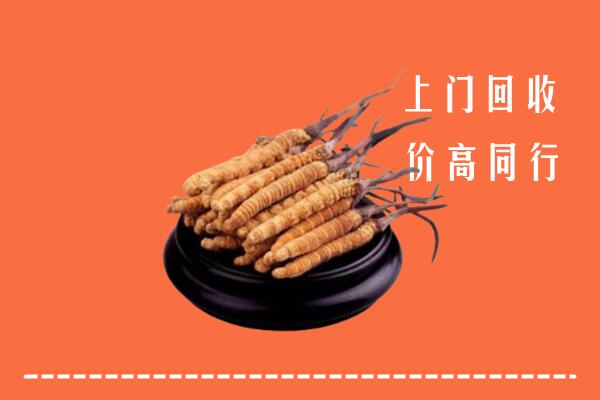 高价求购：柯坪县回收散虫草